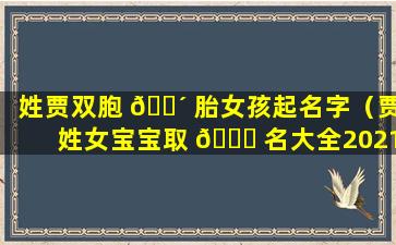 姓贾双胞 🐴 胎女孩起名字（贾姓女宝宝取 🐛 名大全2021）